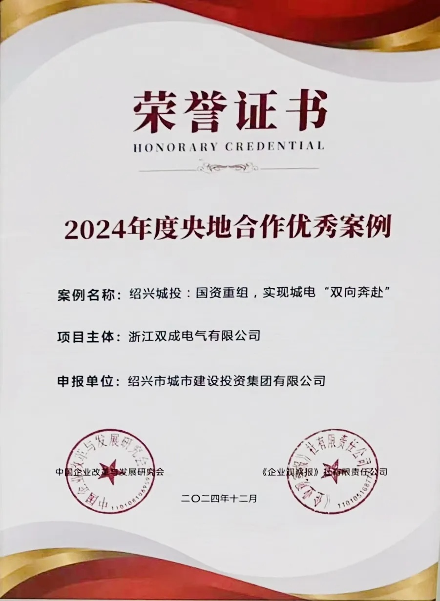 双成电气荣获2024年度央地合作优秀案例
